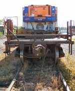 DTTX 747496 with refrigerated container TCLU 117648